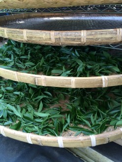 Bamboo trays